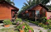 Туры в отель The Wizard of Oz Resort