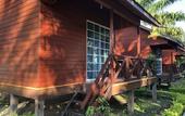 Туры в отель The Wizard of Oz Resort