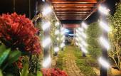 Туры в отель The Wizard of Oz Resort