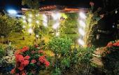 Туры в отель The Wizard of Oz Resort