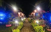 Туры в отель The Wizard of Oz Resort