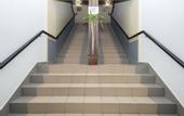Туры в отель OYO 494 EG Hotel