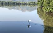 Туры в отель Gayang Friendly Water House Homestay