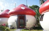 Туры в отель Mushrooms Inn