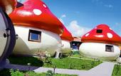 Туры в отель Mushrooms Inn