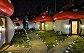 Туры в отель Mushrooms Inn
