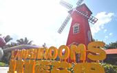 Туры в отель Mushrooms Inn