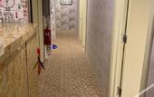 Туры в отель Oscar Inn