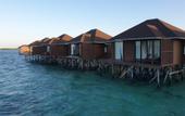 Туры в отель Sea Star Resort Semporna