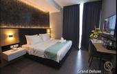 Туры в отель Solid Hotels