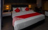 Туры в отель Solid Hotels