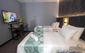 Туры в отель Solid Hotels