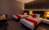 Туры в отель Solid Hotels
