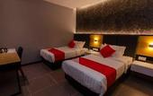 Туры в отель Solid Hotels