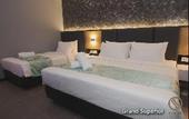 Туры в отель Solid Hotels