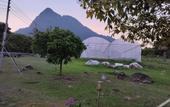 Туры в отель Hotel O Rb Homestay & Farms