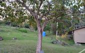Туры в отель Hotel O Rb Homestay & Farms