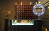 Туры в отель Skye Hotel