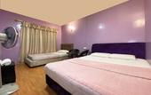 Туры в отель Hotel O Pogimpaan Homestay