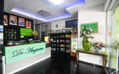 Туры в отель Hotel de Angsana Johor Bahru