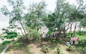 Туры в отель Holiday Homes At Samsuria Resort