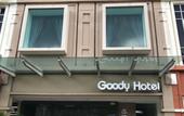 Туры в отель GOODY HOTEL