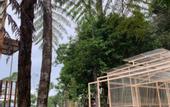 Туры в отель Kireina Resort