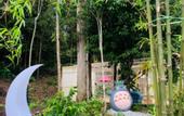 Туры в отель Kireina Resort