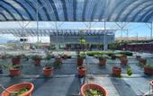 Туры в отель Grapevine Garden