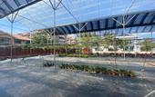 Туры в отель Grapevine Garden