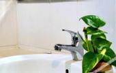 Туры в отель Lovita Hotel Kuantan