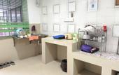 Туры в отель Natol Homestay - Kenyalang Park