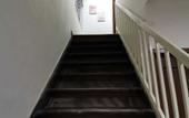 Туры в отель Natol Homestay - Kenyalang Park