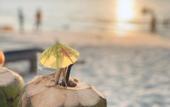 Туры в отель Cenanghill Beachfront Langkawi