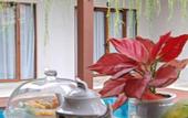 Туры в отель Chrisenbel Hideaway Retreat, The Villa Collection by Chrisenbel