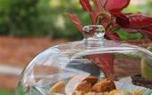 Туры в отель Chrisenbel Hideaway Retreat, The Villa Collection by Chrisenbel