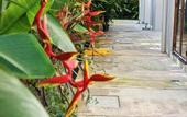 Туры в отель Chrisenbel Hideaway Retreat, The Villa Collection by Chrisenbel