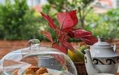 Туры в отель Chrisenbel Hideaway Retreat, The Villa Collection by Chrisenbel