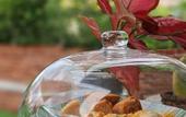 Туры в отель Chrisenbel Hideaway Retreat, The Villa Collection by Chrisenbel