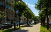 Туры в отель Nevsky Hotel Aster