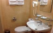 Туры в отель Nevsky Hotel DeLuxe