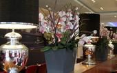 Туры в отель Bastion Hotel Vlaardingen