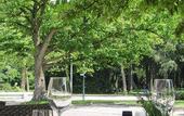 Туры в отель Hotel Parkzicht Eindhoven