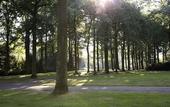 Туры в отель Hotel Parkzicht Eindhoven