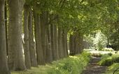 Туры в отель Kasteel De Vanenburg
