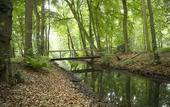 Туры в отель Kasteel De Vanenburg