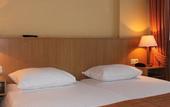Туры в отель Hotel Restaurant De Zwaan
