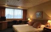 Туры в отель Hotel Restaurant De Zwaan