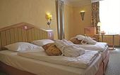 Туры в отель Fletcher Hotel-Restaurant Kasteel Erenstein