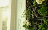 Туры в отель La Paulowna Boutique Hotel